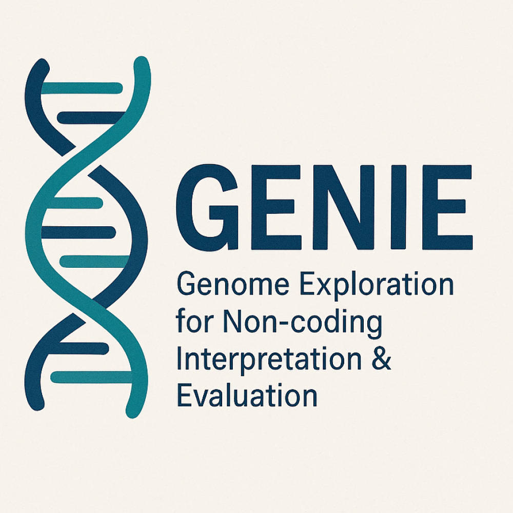 GENIE: Genome Exploration for Non-coding Interpretation & Evaluation
